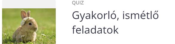 QUIZIZZ