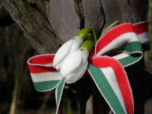 Kiss Kata Zenekar: Magyar vagyok